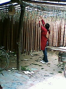 河南竹木加工廠 竹簽、二手制香機與營林機械制造的綜合服務